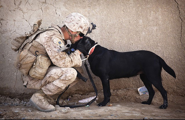 Acupuncture for Veterans