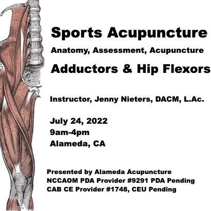 Sports Acupuncture Class: Adductors and Hip Flexors