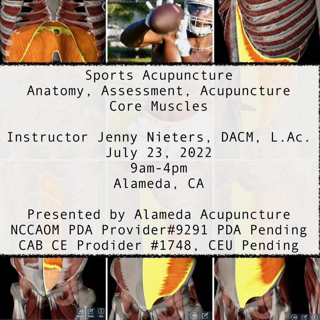 Sports Acupuncture Class